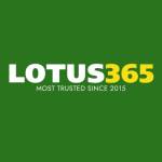 Lotus 365 Profile Picture