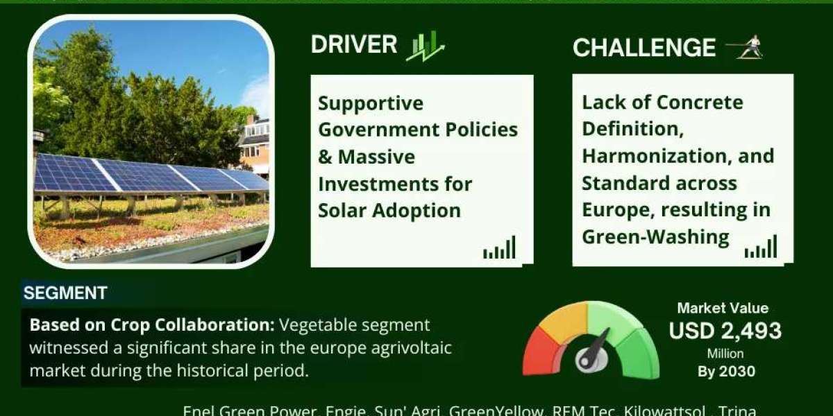 Europe Agrivoltaic Market Analysis: 45% CAGR Backed by Rising Demand