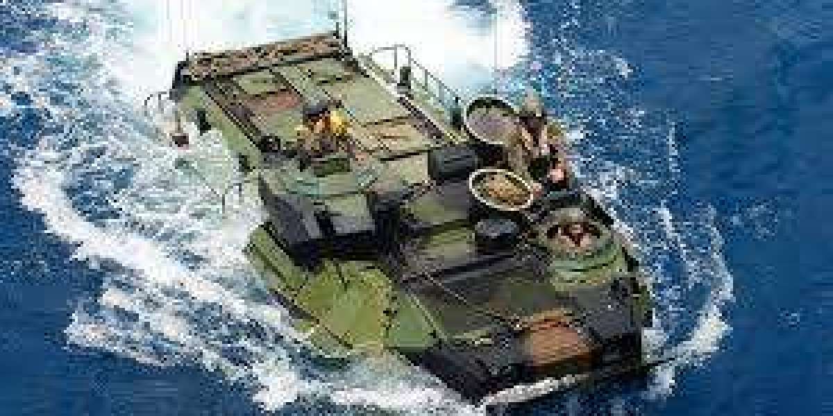 The Amphibious Advantage: How Innovation Drives a Two-World Market