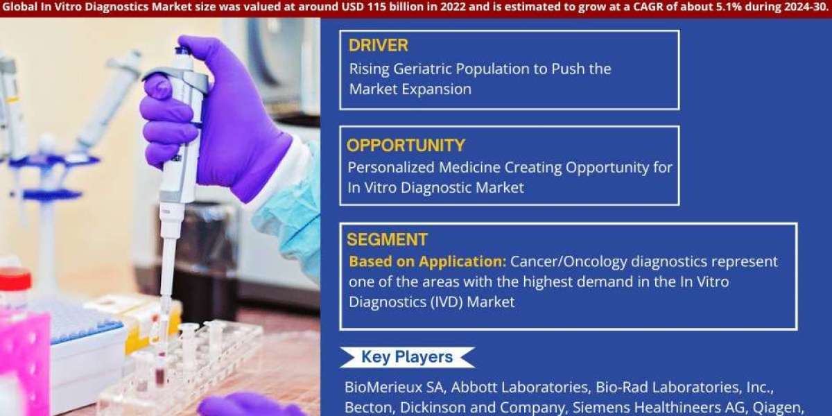 In Vitro Diagnostics Market Trends 2024–2030: Share, Value & Opportunities