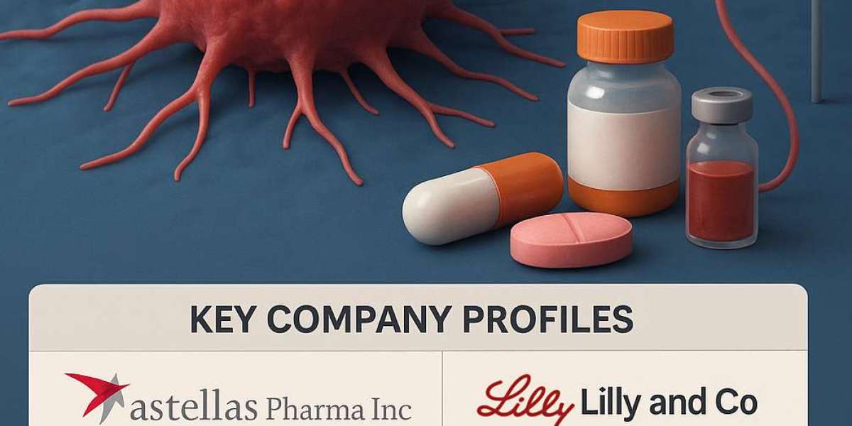 Cancer Chemotherapy Market Size, Share & Global Insights (2022–2031)