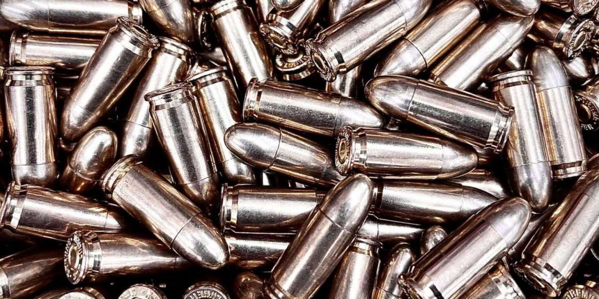 Is the 9mm Enough for Bear Country? The Surprising Truth