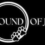 thesoundofjungle Profile Picture