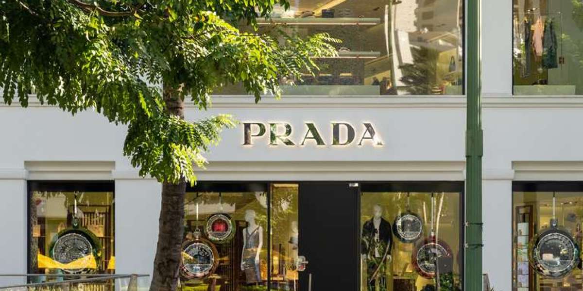Prada Sneakers Sale The graphic A sketch