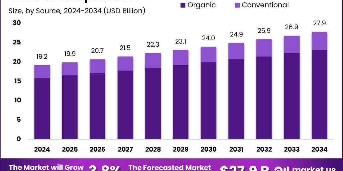 Ketchup Market Consumer Insights: What’s Changing?