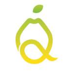 Quince medical Profile Picture