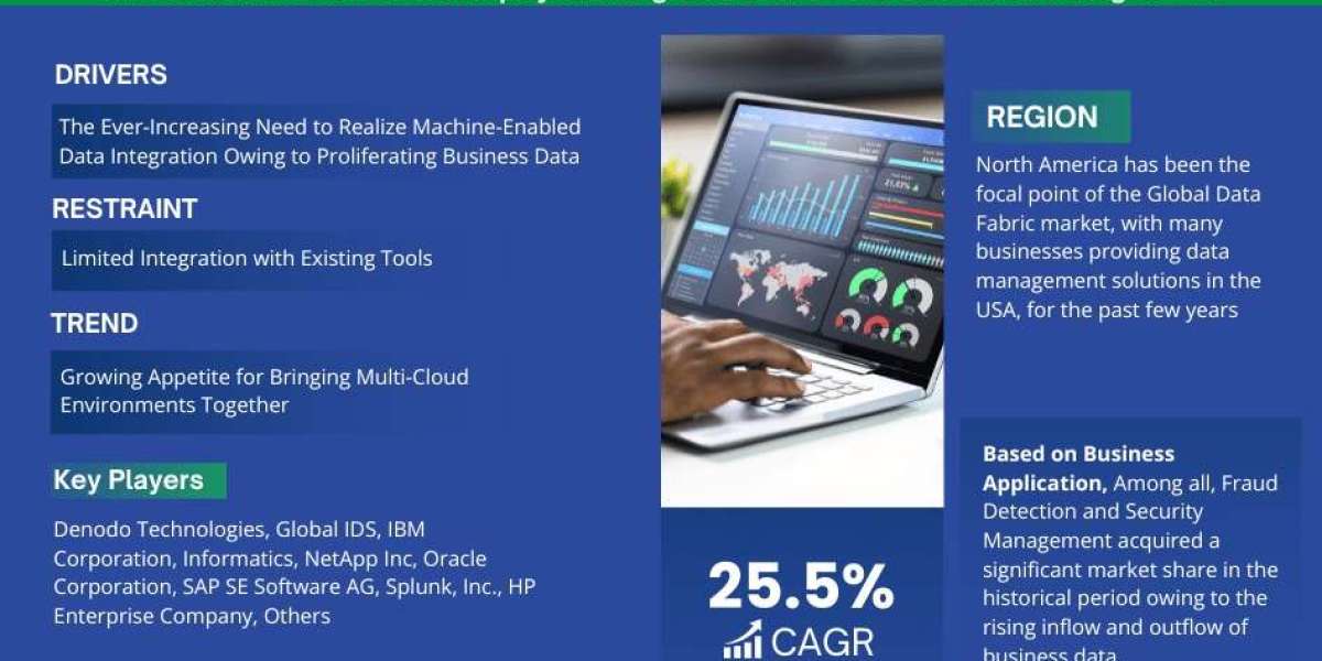 Data Fabric Forecast 2028: Growth Trends, Key Players & Future Outlook | Denodo Technologies, Global IDS, IBM Corpor