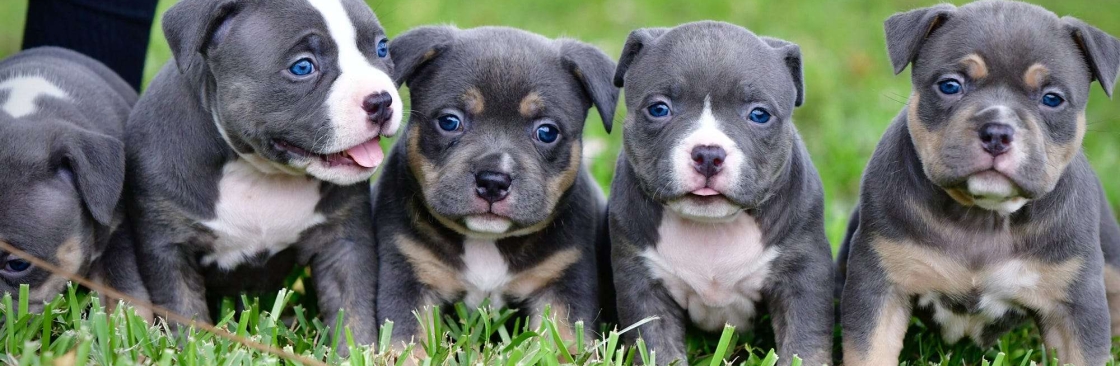 Iron Den Kennels Cover Image