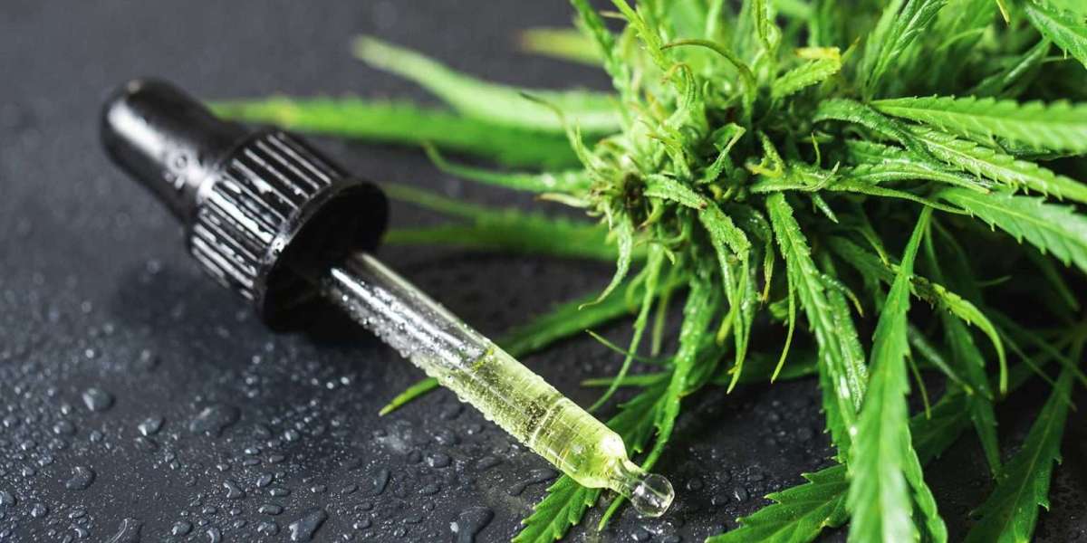 Comment le CBD transforme le bien-être des habitants à Saint-Georges-de-Didonne ?