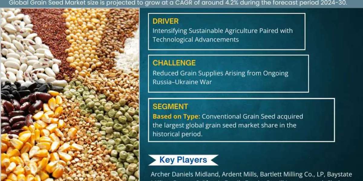 4.2% CAGR to Drive Global Grain Seed Market Size & Demand by 2030