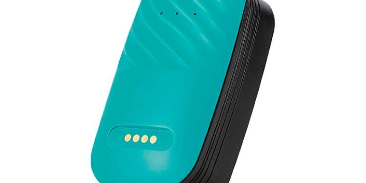 Keep Tabs on Your Pet Wherever You Go with a GPS Dog Collar