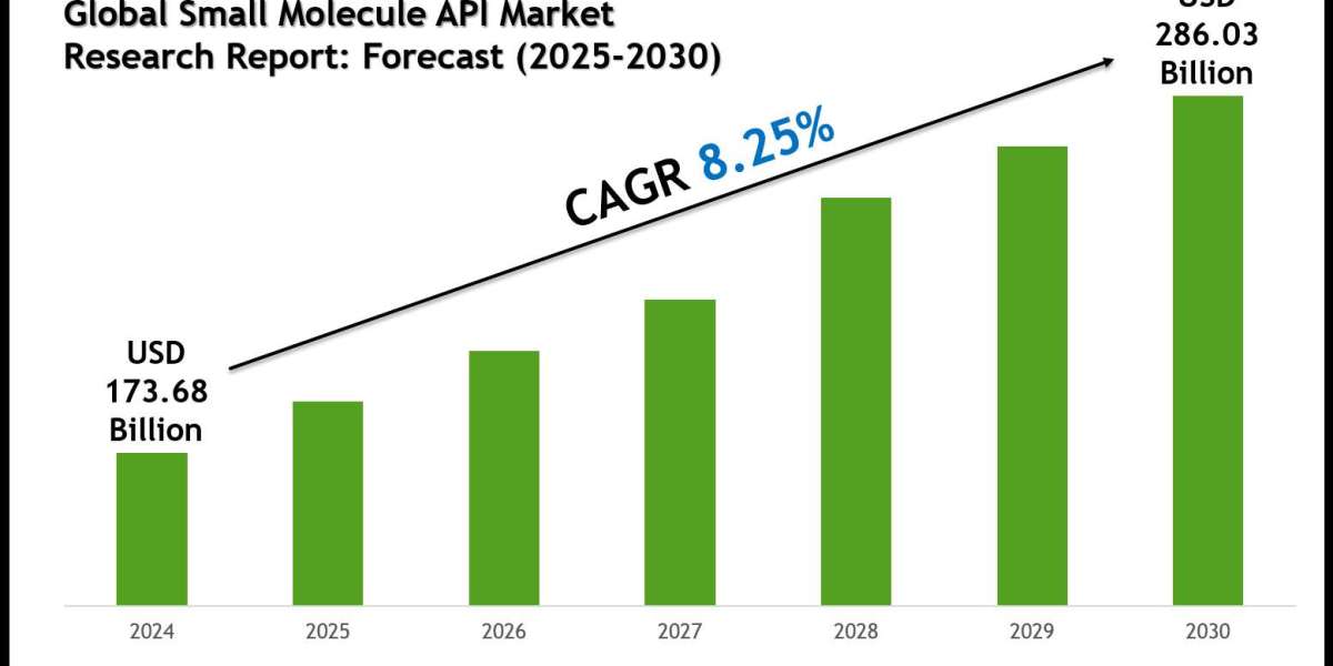 Global Small Molecule API Market Outlook: Growth, Share & Demand till 2030