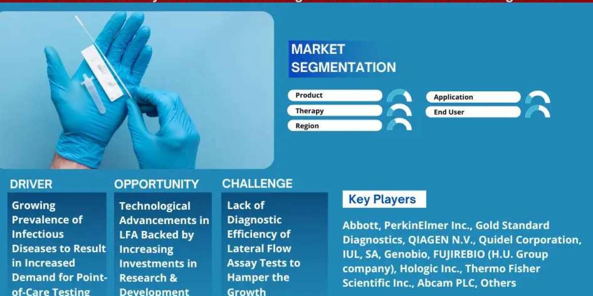 Global Lateral Flow Assay Market Trends 2024: Key Insights & 3.4% CAGR Projection