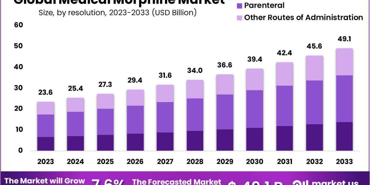 Medical Morphine Market Flourishes Amid Medical Advancements and Pain Care Demand
