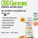 GlobalHealthFarms CBD500mg Profile Picture