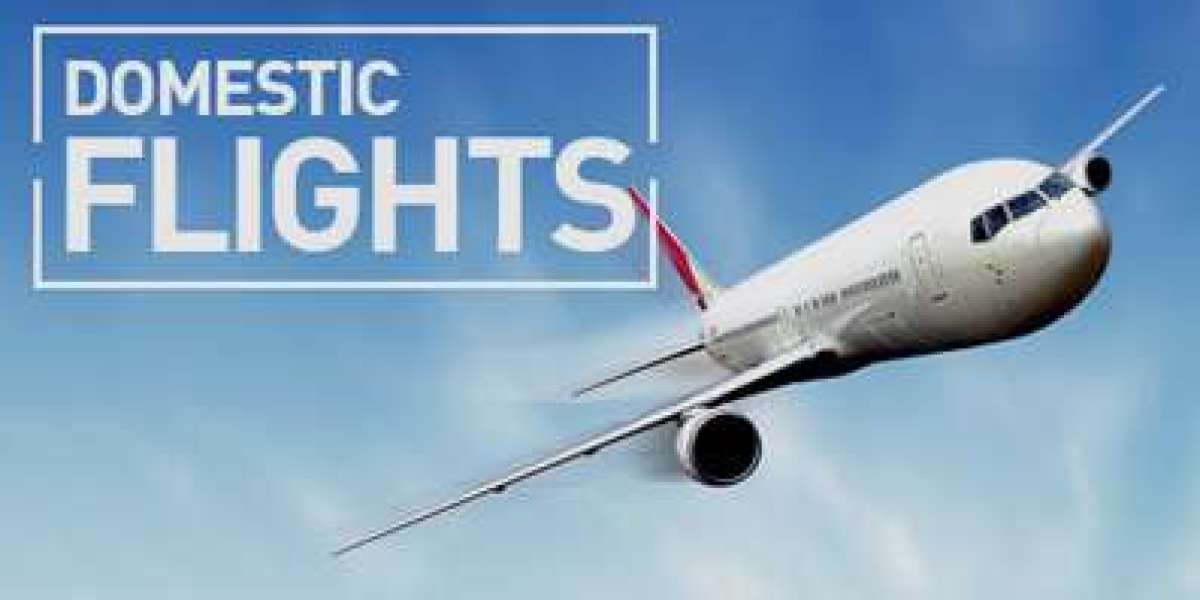 Domestic Flight Deals 2025 | WinkTravelDeals | +1-866-579-8033