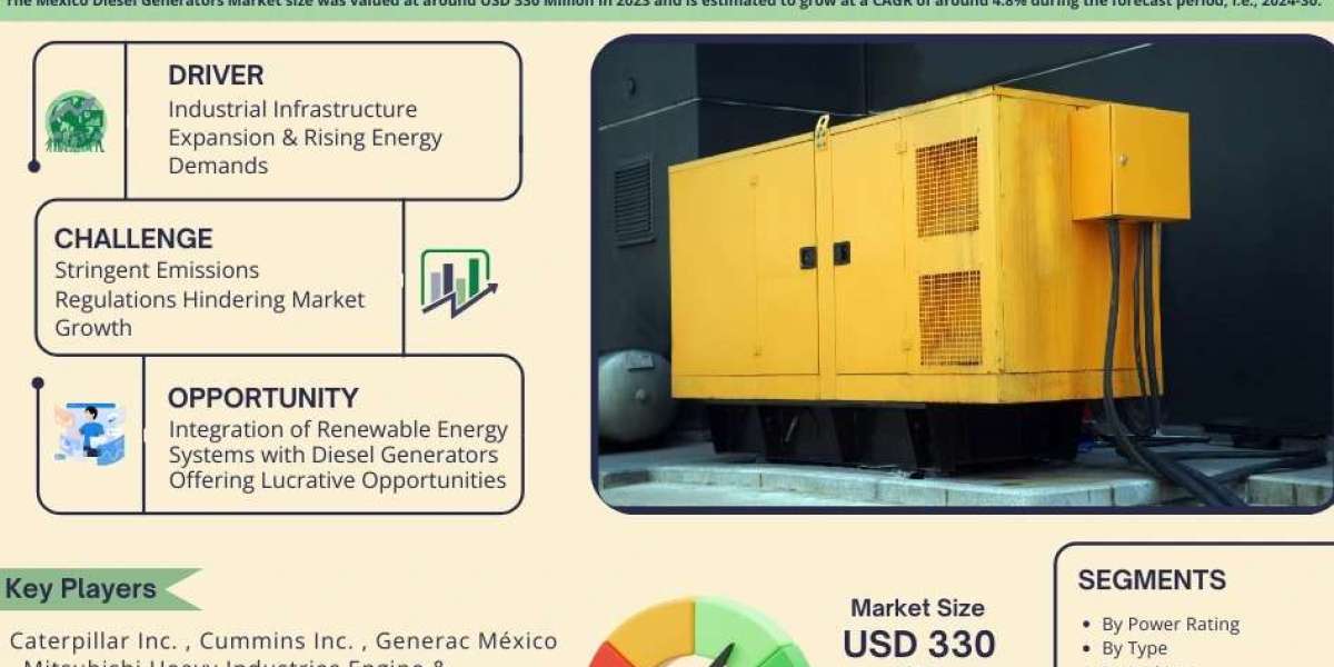 Mexico Diesel Generator Market Growth Forecast to 2030: Size & Demand Outlook