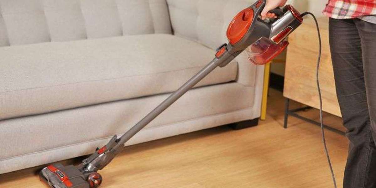 Dyson Ball Multi-floor Canister Vacuum Review 2025 – FindBestVacuums: Still Cleaning Like a Champion?