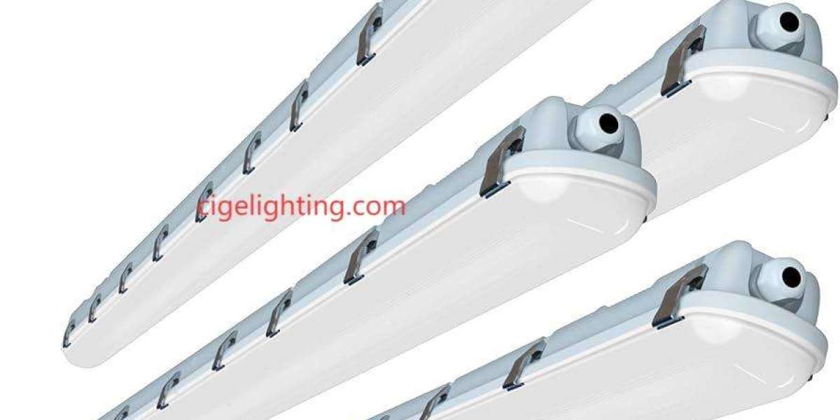 Cigelighting’s Adaptive Armor: Future-Proofing Municipal Tech Networks